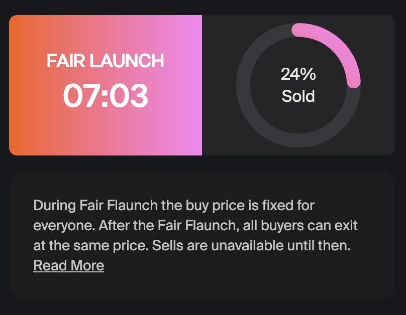 Fair Launch Meme Coin